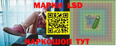 apvp Нальчик