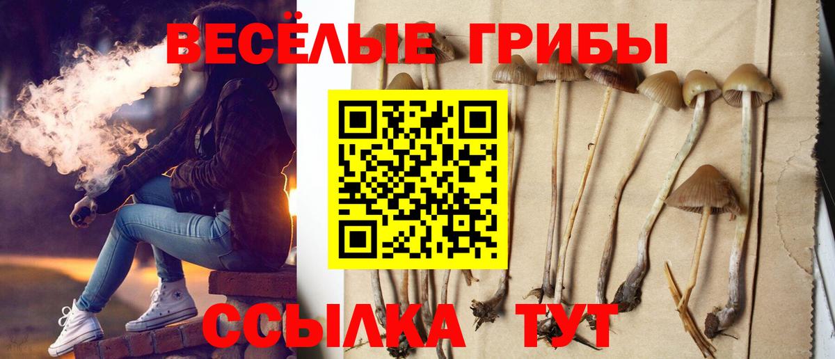 Галлюциногенные грибы MAGIC MUSHROOMS Дагестанские Огни