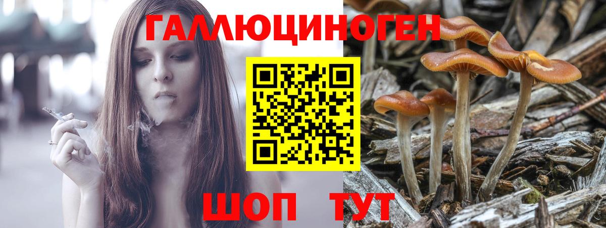 Псилоцибиновые грибы мухоморы  Вход с VPN  Дагестанские Огни 